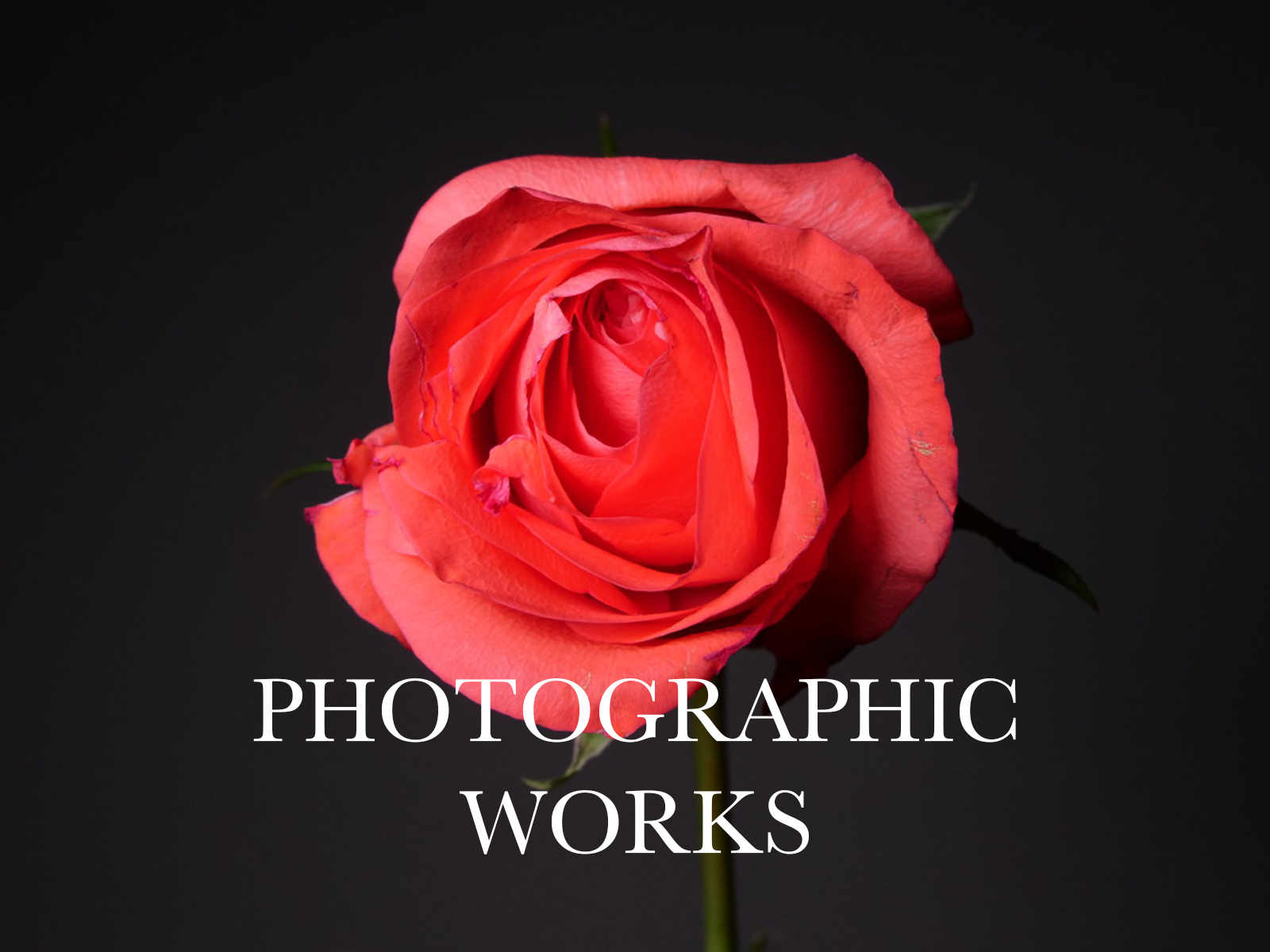 photographic works